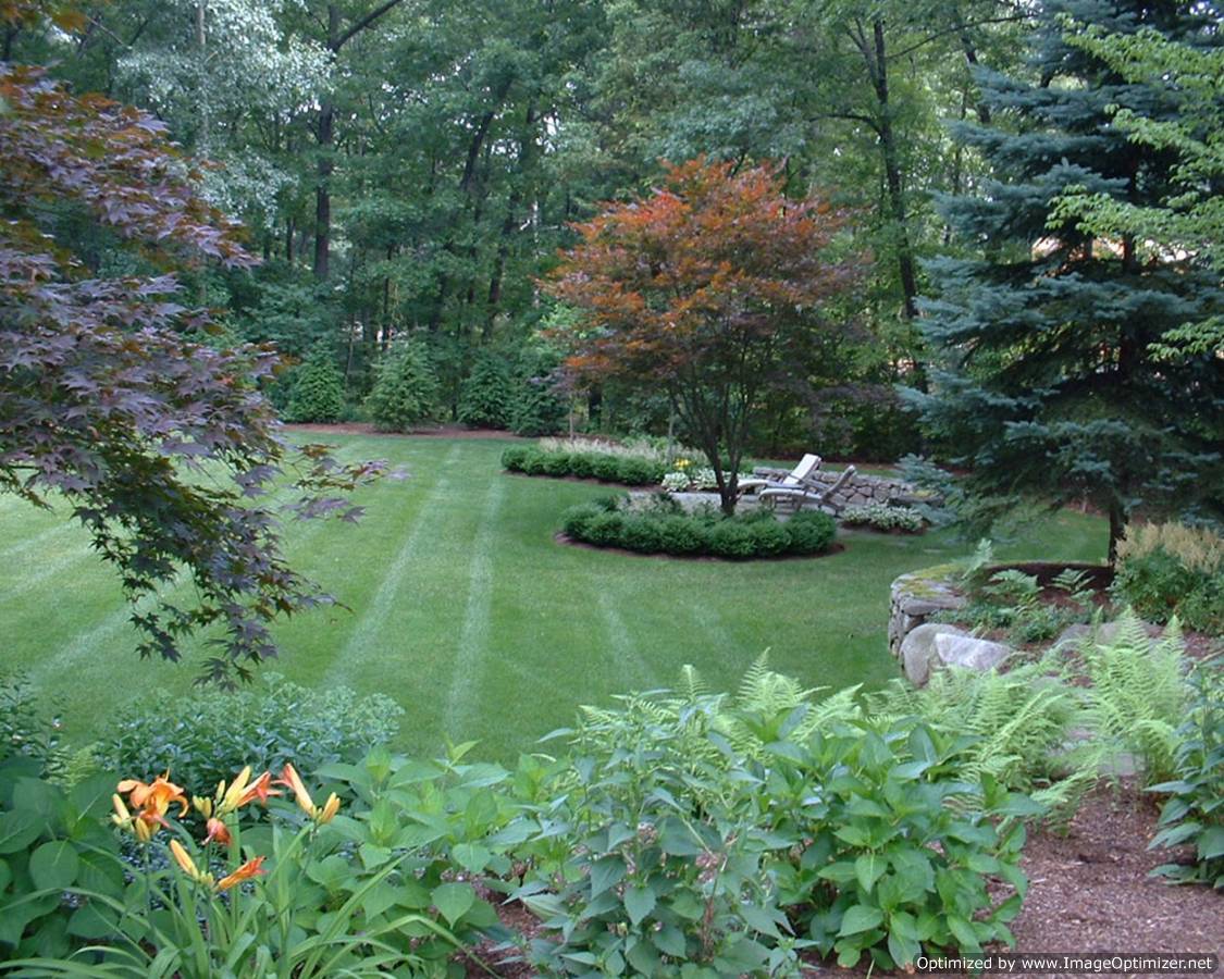 Top Lawn Care Tips for the Fall in Massachusetts